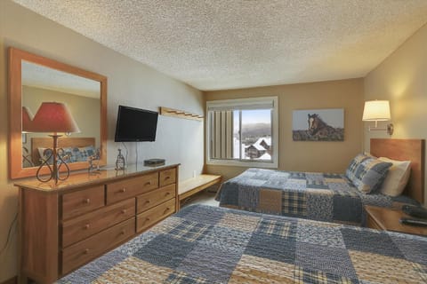 Skiwatch 317 House in Breckenridge