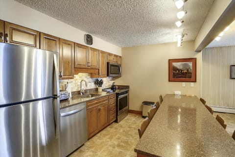 Skiwatch 317 House in Breckenridge