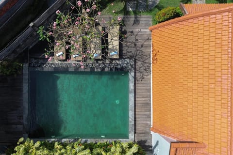 Day, Pool view, Swimming pool
