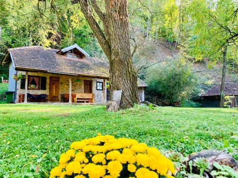 Kuca za odmor Todorovica mlin House in Serbia