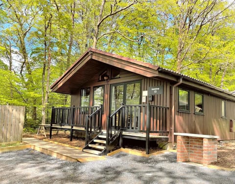 Snowdrop 10-Hot Tub-Woodlandlodges-St Clears-Pembrokeshire Chalet in Wales