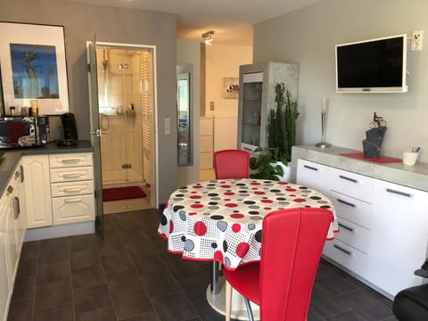 Spring, Winter, Summer, Photo of the whole room, Dining area, Autumn