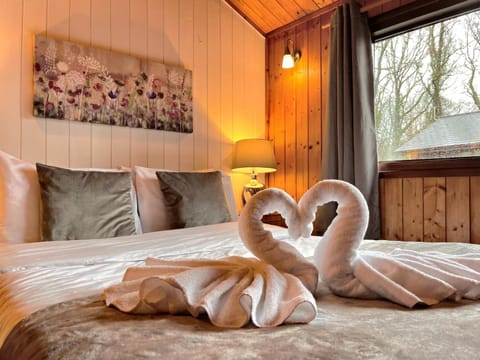 Snowdrop 9 Hot Tub-Woodlandlodges-Pembrokeshire Chalet in Wales