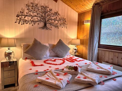 Snowdrop 14 - Dog Friendly - Hot tub--Tenby-Pendine Chalet in Wales