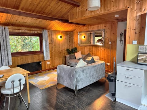 Snowdrop 14 - Dog Friendly - Hot tub--Tenby-Pendine Chalet in Wales