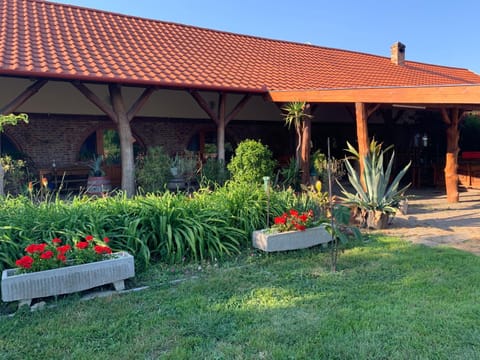 Garden, Balcony/Terrace