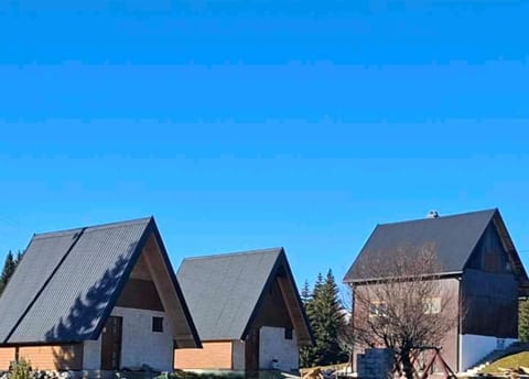 Village house Popovic Country House in Montenegro