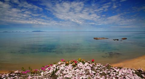 Natural landscape