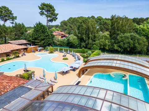 Spring, Day, Natural landscape, Garden, Garden view, Pool view, Swimming pool, sunbed