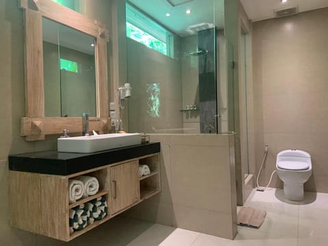 Shower, Toilet, Bathroom, towels