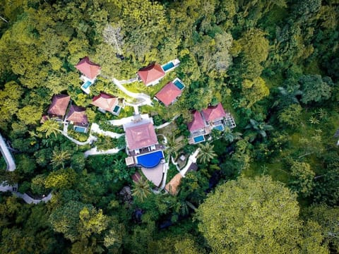 Property building, Natural landscape, Bird's eye view, Swimming pool