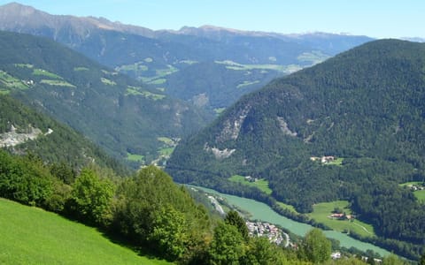 Natural landscape, Summer, River view
