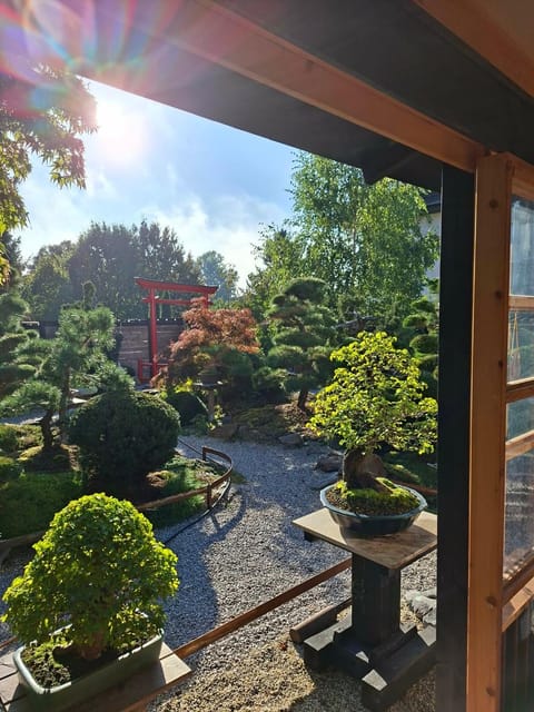 Garden, Garden, Garden view