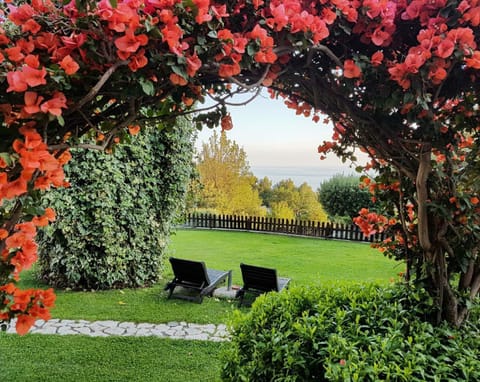 Bed and Breakfast Nefer Bed and Breakfast in Basilicata