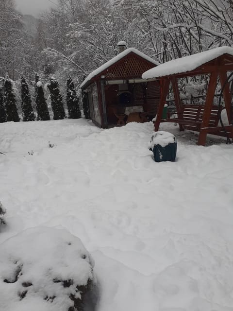 Cabana Nisipoasa House in Serbia