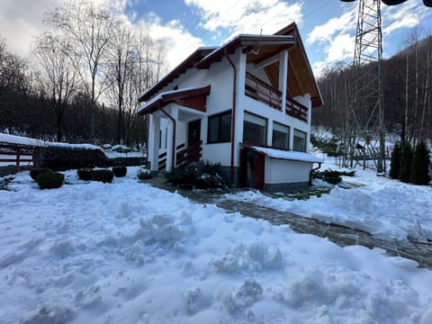 Cabana Nisipoasa House in Serbia