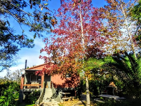 Property building, Facade/entrance, Garden