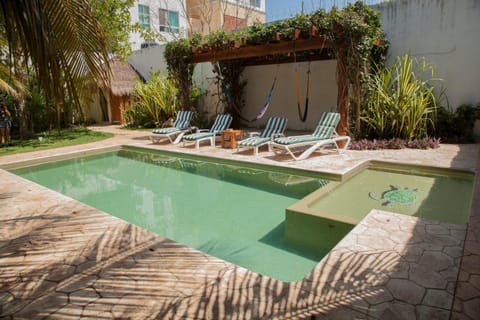 Garden view, Swimming pool