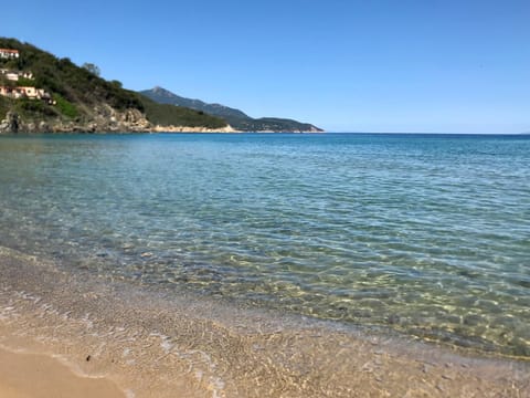 Natural landscape, Beach