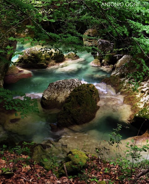 Natural landscape