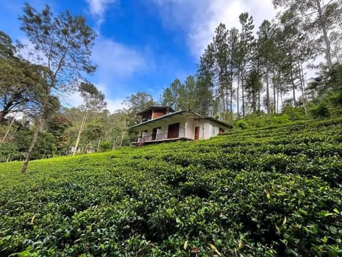 Property building, Natural landscape