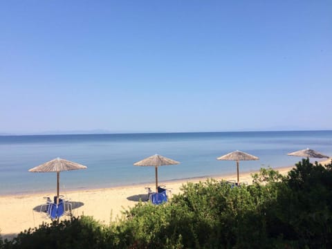 Natural landscape, Beach, sunbed