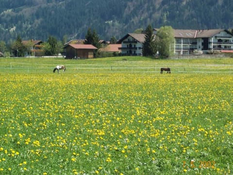 fewoweis Apartment in Oberstdorf