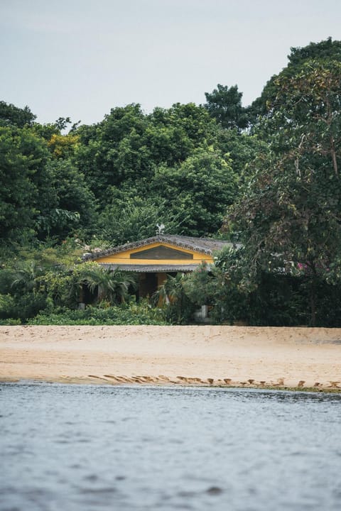 Day, Natural landscape, Beach