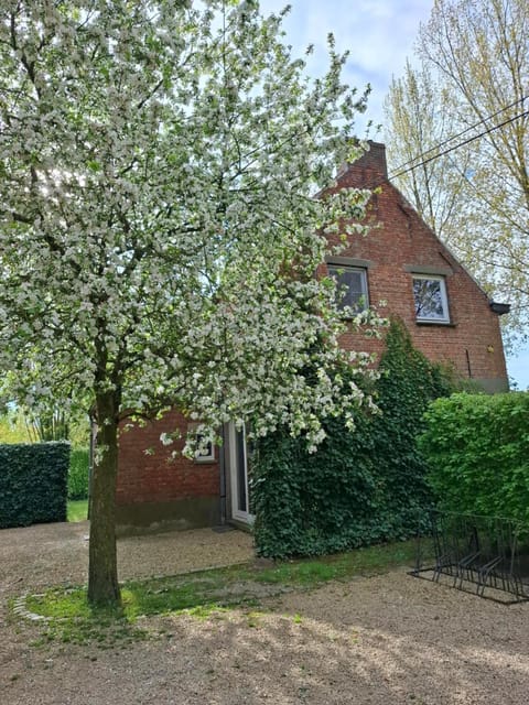 Property building, Spring