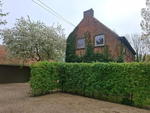 Property building, Spring