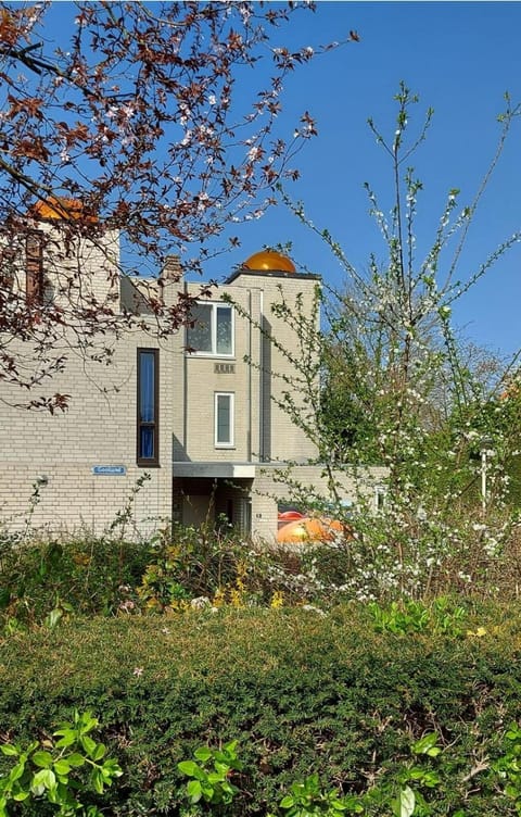 Property building, Neighbourhood, Garden