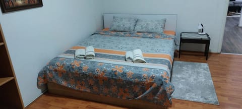 Apartman Aleksic Apartment in Serbia