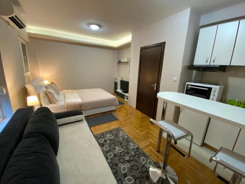 Studio SM Kragujevac Apartment in Serbia