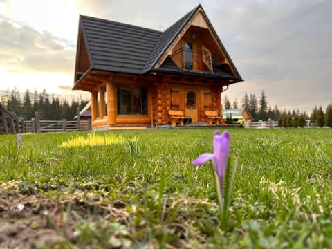 Property building, Spring