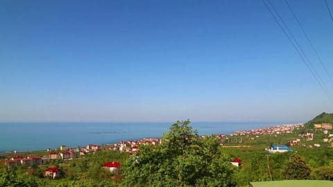 Natural landscape, View (from property/room), City view, Sea view