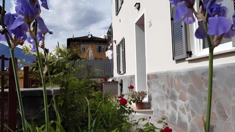 Property building, Patio, Garden