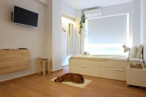 Bed, Pets