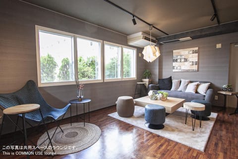Lounge or bar