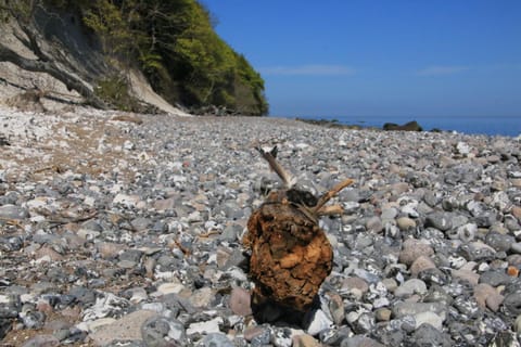 Feriendomizil Achtern Öwer Apartment in Mecklenburg-Vorpommern, Germany
