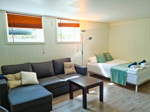 Bed, Living room, Photo of the whole room