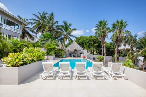 Day, Garden, Swimming pool, sunbed