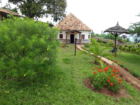 Patio, BBQ facilities, Garden, Balcony/Terrace