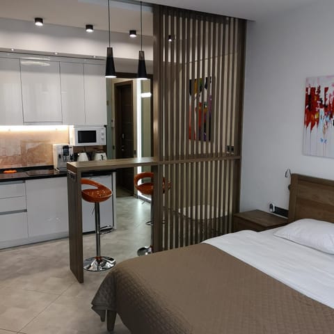 Bed, Kitchen or kitchenette, Photo of the whole room, Bedroom, stove