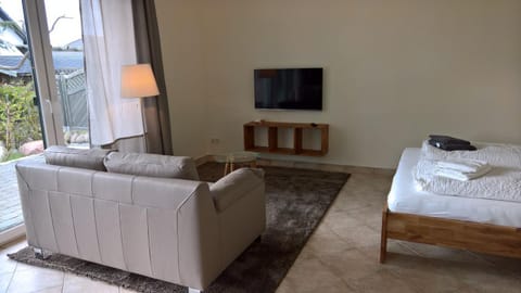 TV and multimedia, Living room, Seating area, Evening entertainment