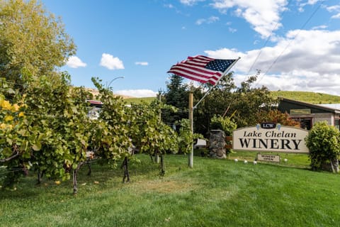 Lake Cruiser Cottage House in Manson