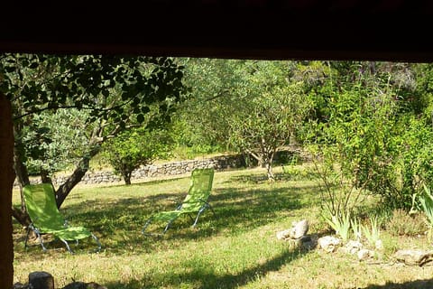 Garden, Garden, Garden view