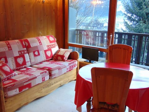 Studio lumineux 3 pers, animaux admis, parking - FR-1-517-27 Apartment in Chamonix