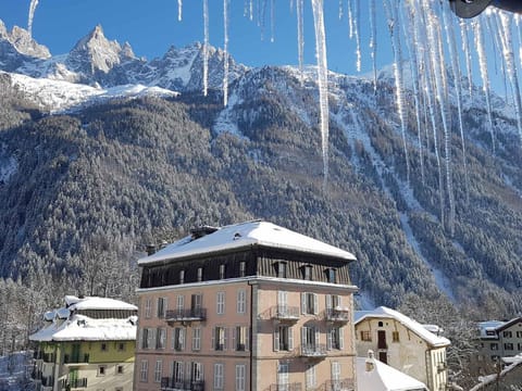 Magnifique appartement centre-ville - Animaux admis, WiFi - FR-1-517-37 Apartment in Chamonix