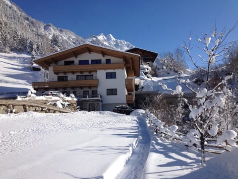Property building, Natural landscape, Winter