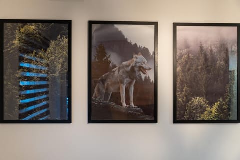 Apartman Vuk Zlatibor Apartment in Zlatibor